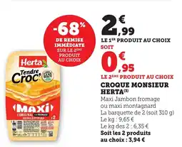 Bi1 Croque monsieur herta offre