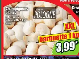 Norma Champignons blancs offre