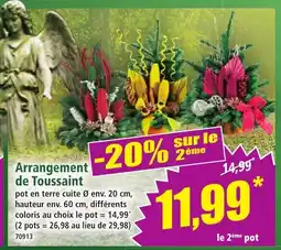 Norma Arrangement de Toussaint offre