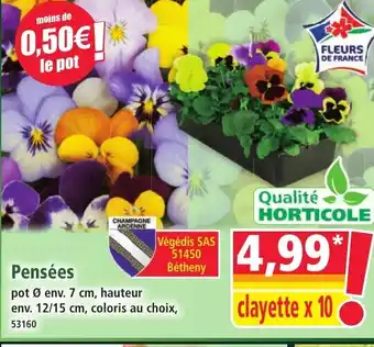 Norma Pensées offre
