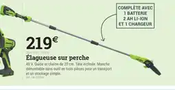Espace emeraude Élagueuse sur perche offre