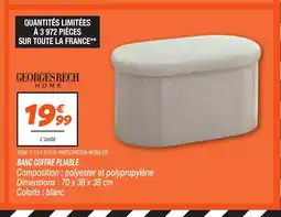 Netto GEORGES RECH HOME anc coffre pliable offre