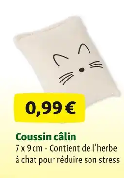 Maxi Zoo Coussin câlin offre
