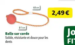 Maxi Zoo Balle sur corde offre