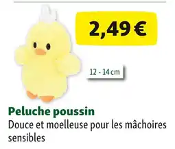 Maxi Zoo Peluche poussin offre