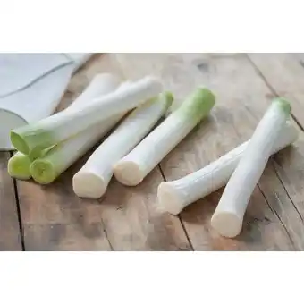 Carrefour FILIERE QUALITE CARF Blancs de poireaux FILIÈRE QUALITÉ CARREFOUR offre