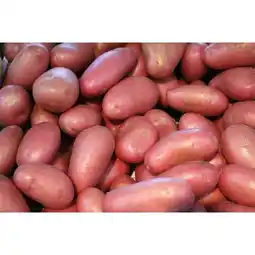 Carrefour FILIERE QUALITE CARF Pomme de terre de consommation rouge à chair ferme FILIÈRE QUALITÉ CARREFOUR offre