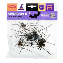 Carrefour Sachet de toile d'araignée offre