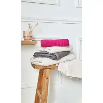 Carrefour TEX HOME Linge de toilette Bath offre