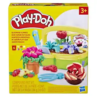 Carrefour PLAY DOH Mon Jardin de Fleurs offre
