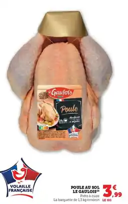 Hyper U LE GAULOIS Poule au sol offre
