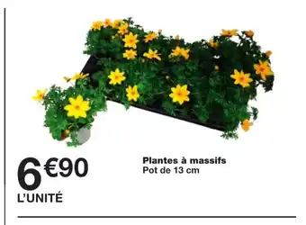 Monoprix Plantes a massifs offre