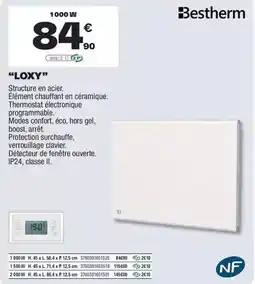Brico Dépôt Bestherm - radiateurs à inertie sèche ''loxy'' offre