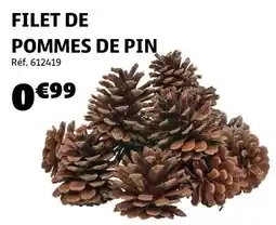 Gifi Filet de pommes de pin offre