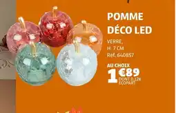 Gifi Pomme déco led offre