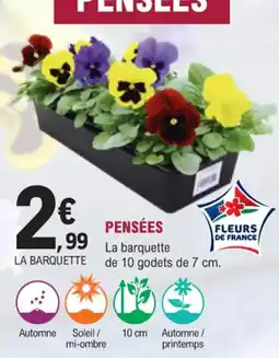 E.Leclerc Jardi Pensées offre