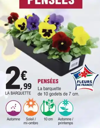 E.Leclerc Jardi Pensées offre