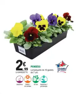 E.Leclerc Jardi Pensées offre