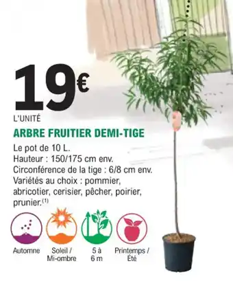E.Leclerc Jardi Arbre fruitier demi-tige offre