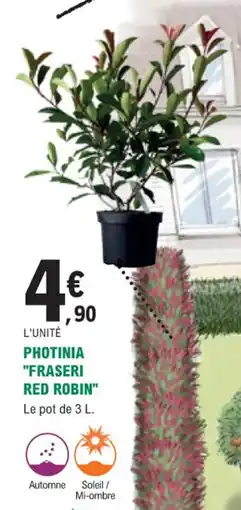 E.Leclerc Jardi Photinia fraseri red robin offre