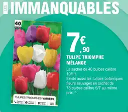 E.Leclerc Jardi Tulipe triomphe mélange offre