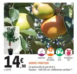 E.Leclerc Jardi Arbre fruitier offre