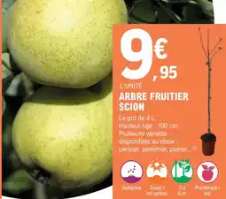 E.Leclerc Jardi Arbre fruitier scion offre