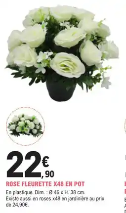 E.Leclerc Jardi Rose fleurette x48 en pot offre