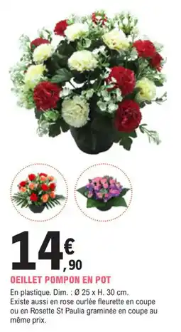 E.Leclerc Jardi Oeillet pompon en pot offre