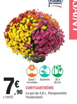 E.Leclerc Jardi Chrysanthème offre