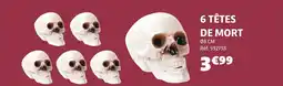 Gifi 6 têtes de mort offre