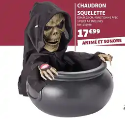 Gifi Chaudron squelette offre