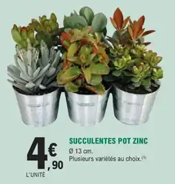 E.Leclerc Jardi Succulentes pot zinc offre