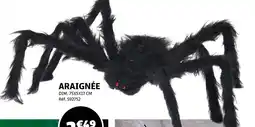 Gifi Araignée offre