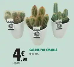 E.Leclerc Jardi Cactus pot émaillé offre