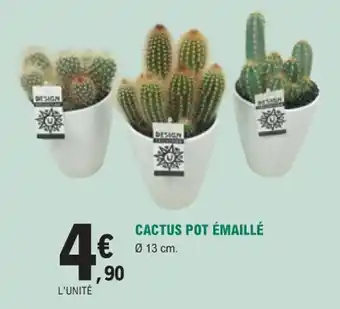 E.Leclerc Jardi Cactus pot émaillé offre