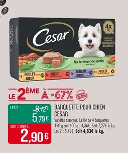 Match Barquette pour chien cesar offre