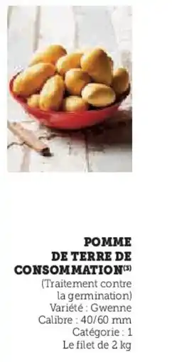 U Express Pomme de terre de consommation( offre
