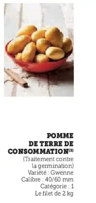 U Express Pomme de terre de consommation( offre