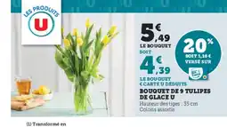 Super U Bouquet de 9 tulipes de glace u offre