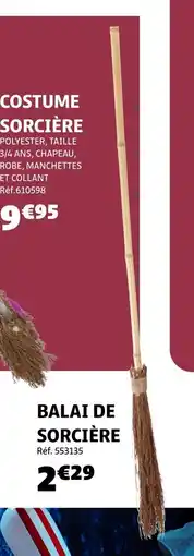 Gifi Balai de sorcière offre