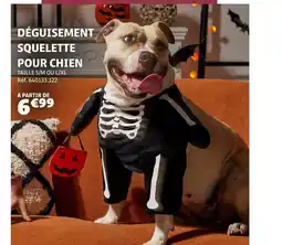 Gifi Déguisement squelette pour chien offre