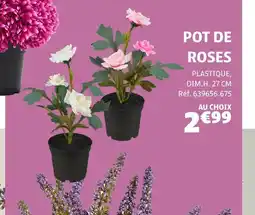 Gifi Pot de roses offre