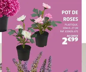 Gifi Pot de roses offre