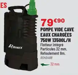 Brico Pro Pompe vide cave eaux chargées 750w 13500l/h offre