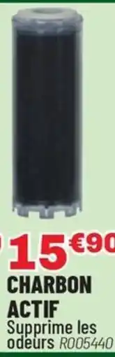 Brico Pro Charbon anti offre