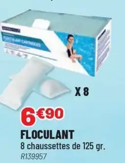 Brico Pro Floculant offre