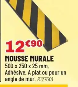 Brico Pro Mousse murale offre