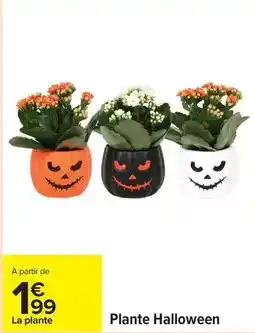 Carrefour Drive Plante halloween offre