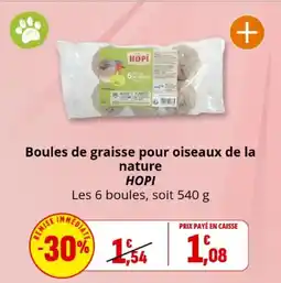 Coccinelle Express Boules de graisse pour oiseaux de la nature hopi offre